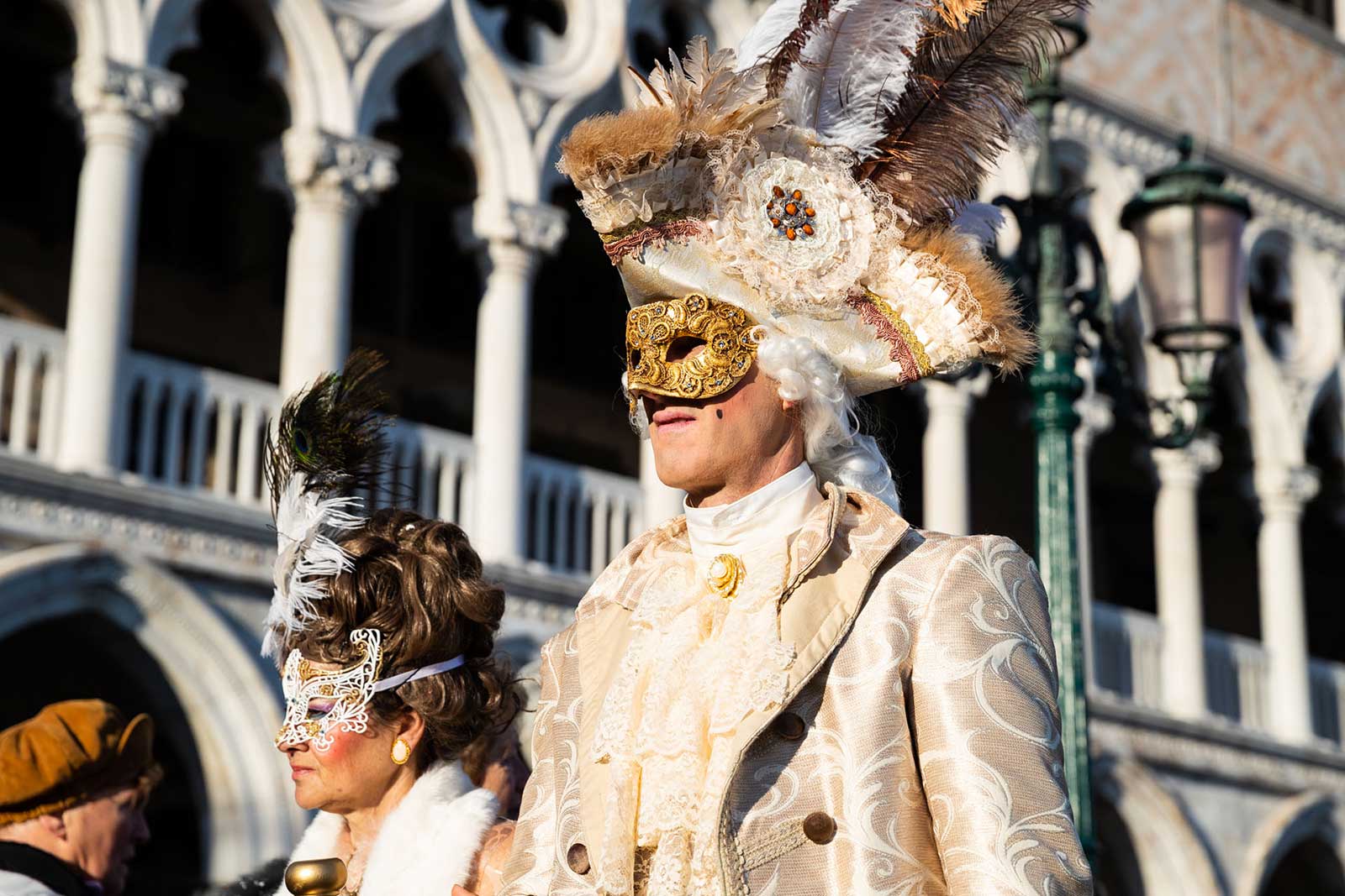 Rabe sentía máscara Venecia carnaval animal máscara 